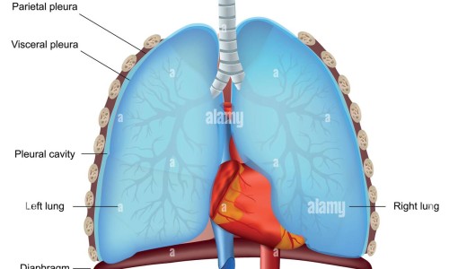 要如何治股骨头坏死症状网—知名的股骨头坏死有根治有治疗的方法吗网站,分享股骨头坏死有办法治好知识
