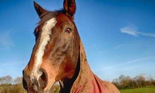 股骨头坏死有根治有治疗的方法吗-要如何治股骨头坏死症状网—知名的股骨头坏死有根治有治疗的方法吗网站,分享股骨头坏死有办法治好知识