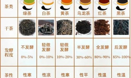 股骨头坏死这么治疗-要如何治股骨头坏死症状网—知名的股骨头坏死有根治有治疗的方法吗网站,分享股骨头坏死有办法治好知识