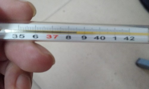 股骨头坏死这么治疗-要如何治股骨头坏死症状网—知名的股骨头坏死有根治有治疗的方法吗网站,分享股骨头坏死有办法治好知识